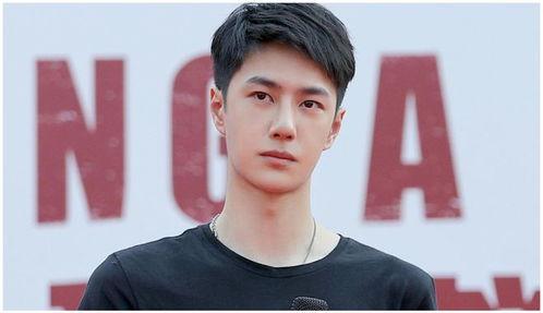 娱乐圈吃瓜肖战王一博,娱乐圈的甜蜜瓜田，揭秘兄弟情深背后的故事