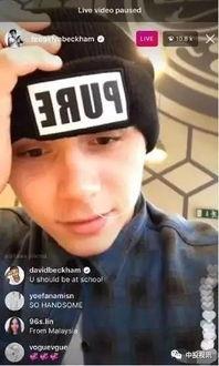 娱乐cp吃瓜直播视频,娱乐CP吃瓜大揭秘,精彩瞬间不容错过!